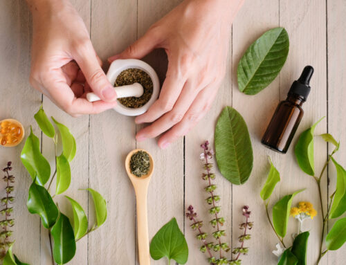 CBD Oil for Dogs: What You Need to Know